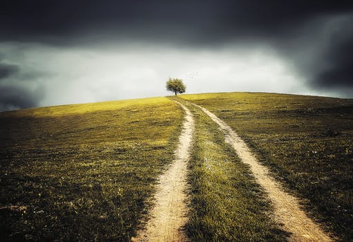 Feldweg – Symbol für karmischen Weg